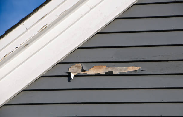 Best Shed Removal  in Gulfport, MS